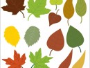 leaf-graphic