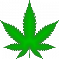 marijuana-2766343_960_720