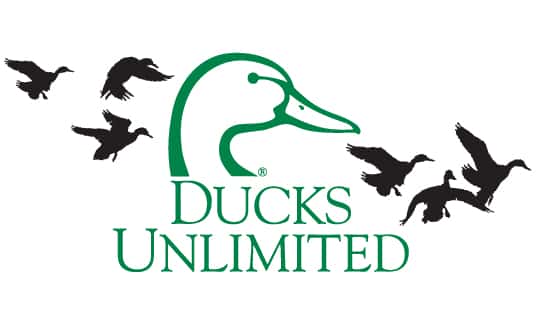 ducksunlimited