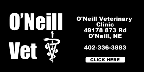 oneill-vet-clinic-2