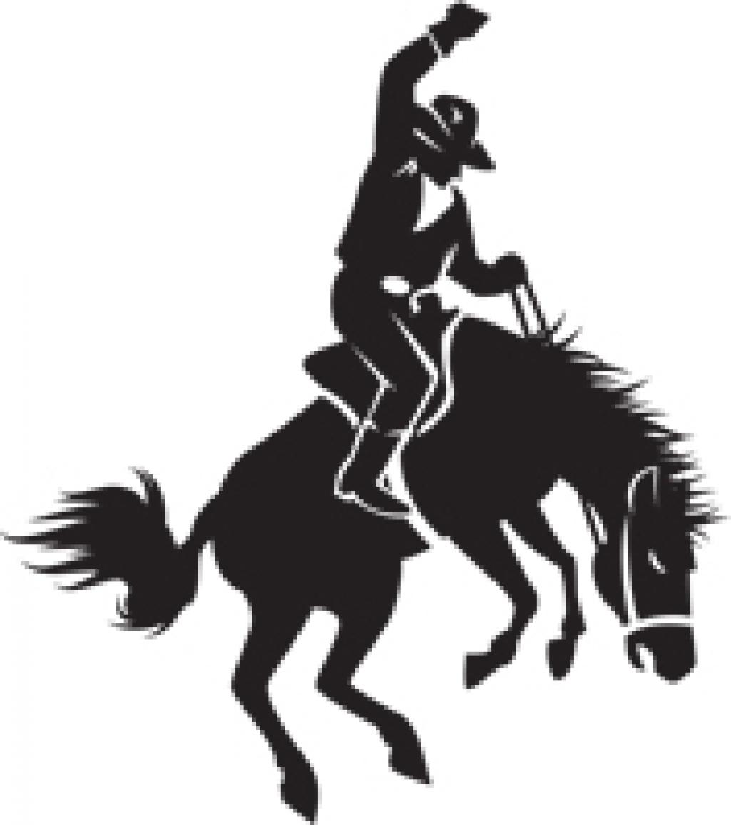 1rodeogeneric