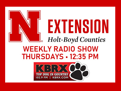 holt-boyd-extension-radio-show-final