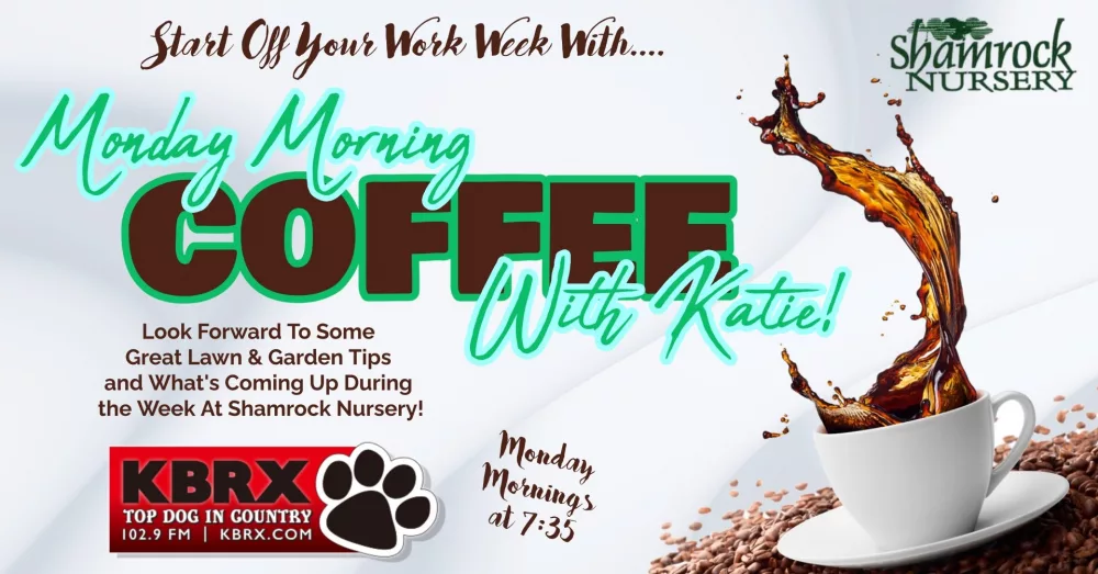 shamrock-nursery-monday-morning-coffee-with-katie