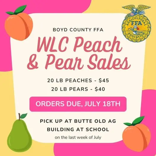 boyd-co-ffa-peaches