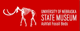 ashfalls