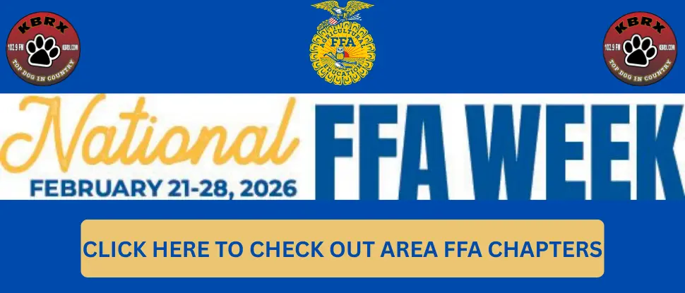 ffa-week-2026-slider