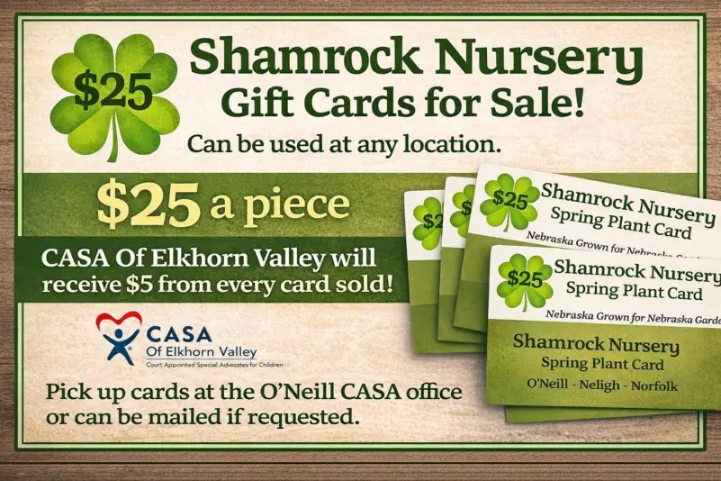 casa-shamrock-nursery-fund-raiser