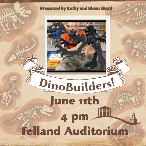 DINO Builders!