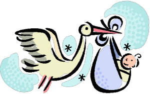 stork