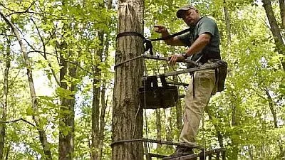 tree-stand2-jpg-3
