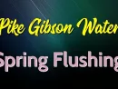 pike-gibson-water-spring-flushing-jpg-5