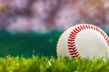 istock_052819_grizzliesaoc