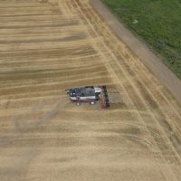 harvesting-wheat-harvester