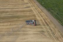 harvesting-wheat-harvester