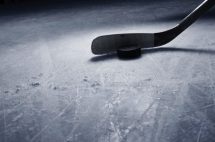 istock_103119_hockeyracialslursrule