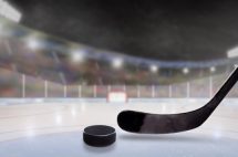 istock_120919_dallasstarscoach