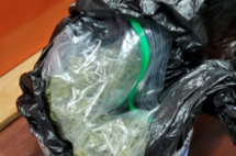 marijuana-ph