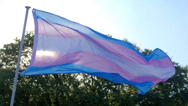 Transgender care targeted into adulthood in these states - Vimarsana News