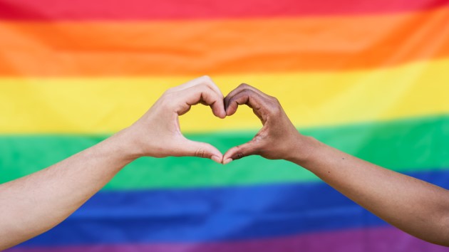 Pride organizers promise safety at festivities amid anti-LGBTQ rhetoric - Vimarsana News