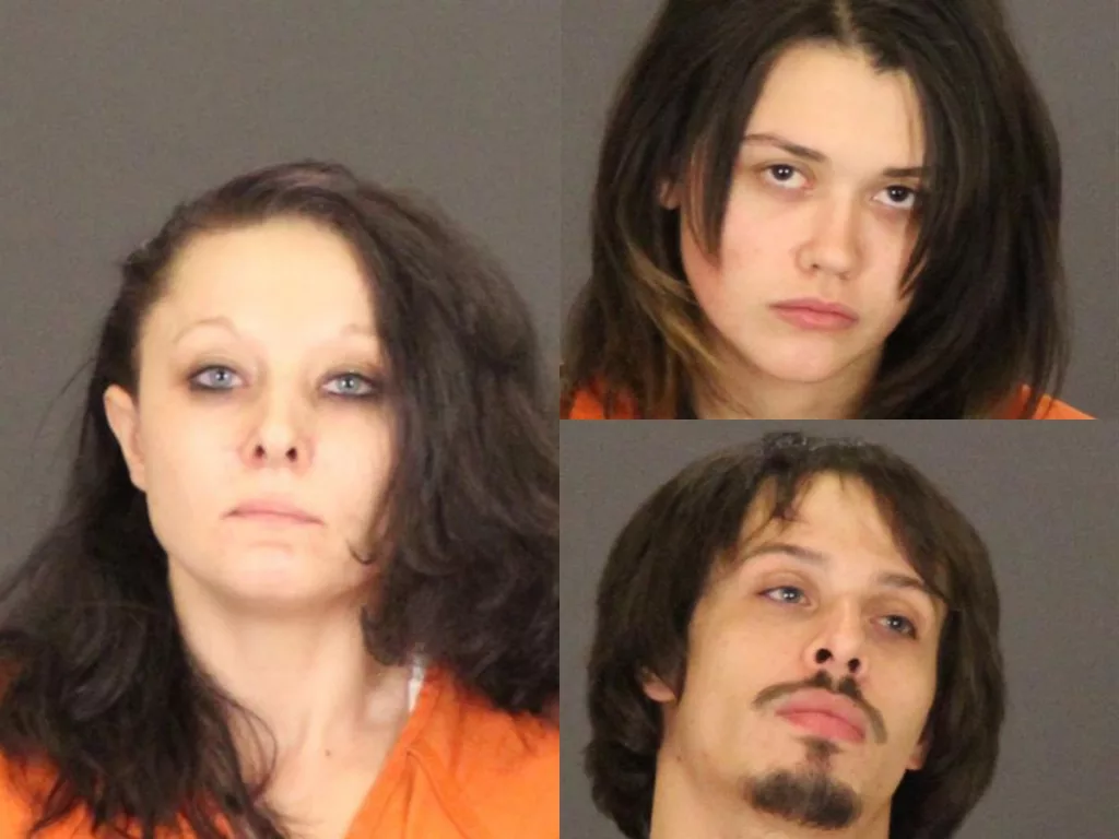 Three in custody after Port Huron drug bust WPHM