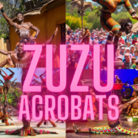 zuzu-acrobats-1