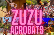 zuzu-acrobats-1