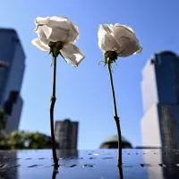 g_wtc_043025621620