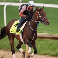 getty_renderjudgmenttobykeithhorse660877