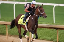 getty_renderjudgmenttobykeithhorse660877