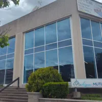 mimichigan