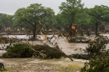 kerrville20getty495761