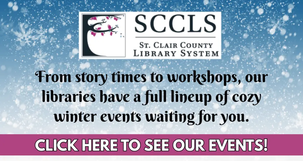 librarywinter_flipper