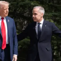 untitled20design20282329372646