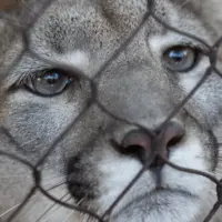 untitled20design20289129693924