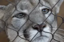 untitled20design20289129693924