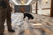 untitled20design20281329443958