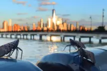 getty_lantern-3-gty-er-260209_1770654215192_hpembed_23x15289547