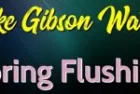 pike-gibson-water-spring-flushing-150x150351112-1