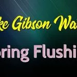 pike-gibson-water-spring-flushing-150x150351112-1