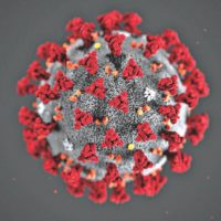 corona_virus