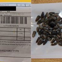 china-seeds-1-ohio-dept-of-agriculture