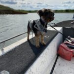 Stella, bass fishin, boat ridin yorkie