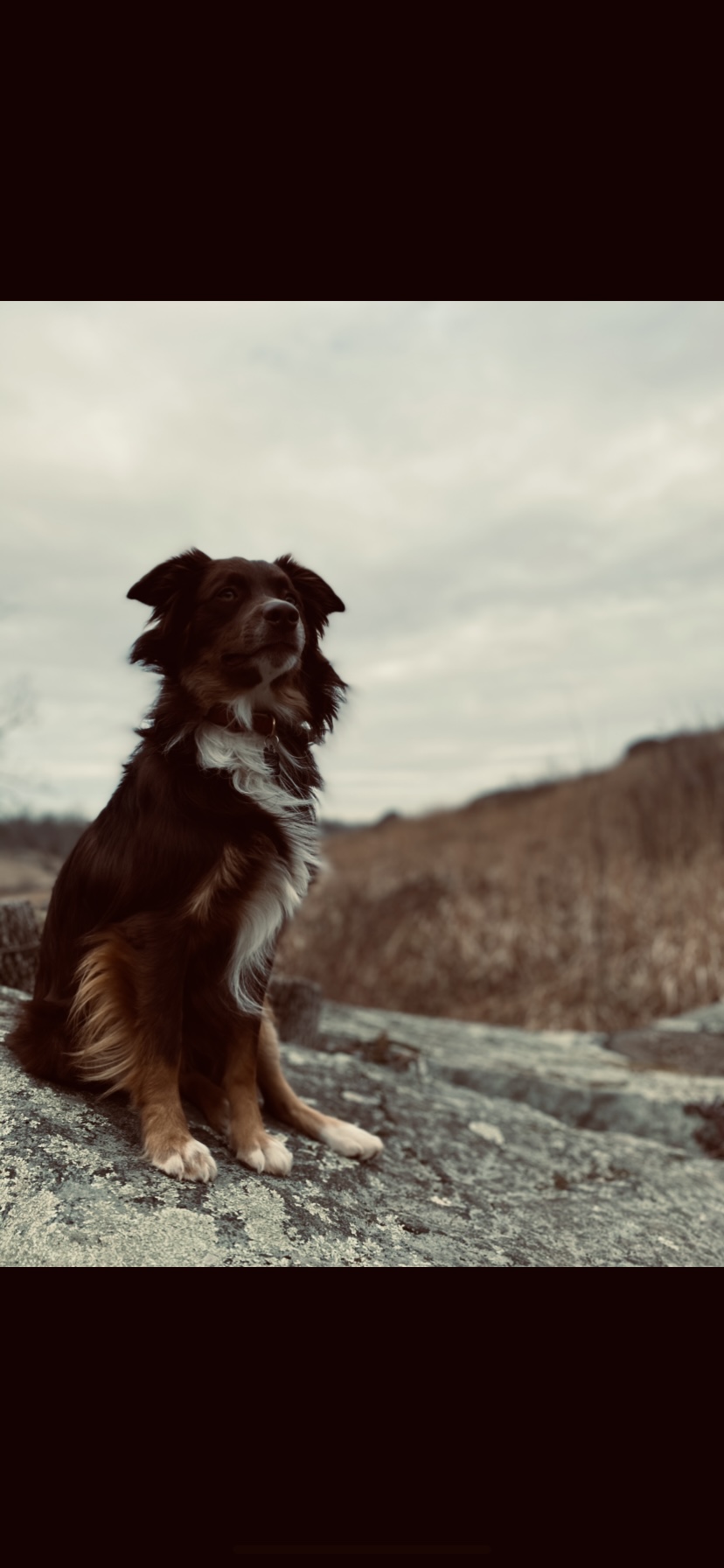 f7d0ed4d-ba8c-4d9b-8ebe-d72631849af7