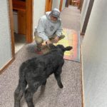 Blake and a calf. You Never know what Jimmy is gonna bring in to the studio!