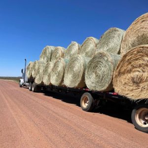 Semi Truck with bales of hay
