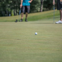 former-big-elkers-shine