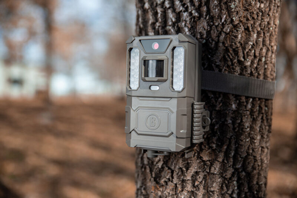 Trail Cameras Help Break Open Theft Case - Vimarsana News