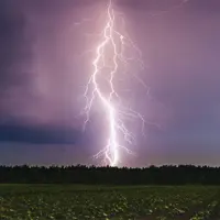 2508181108_2495234