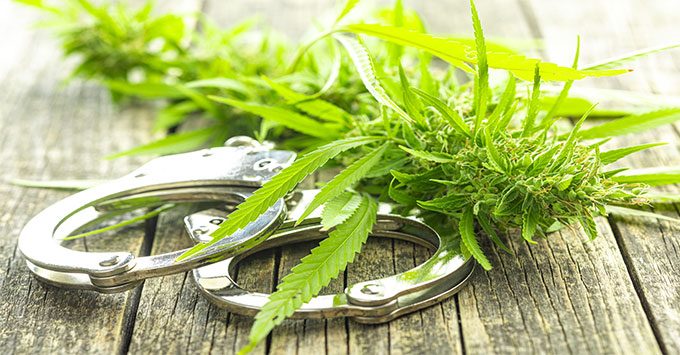 Traffic Stop Leads to Marijuana Trafficking Arrest on I-40