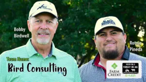bird-consulting-min